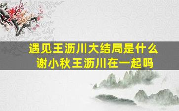 《遇见王沥川》大结局是什么 谢小秋王沥川在一起吗