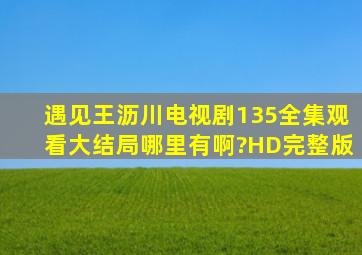 《遇见王沥川》电视剧135全集观看大结局哪里有啊?HD完整版