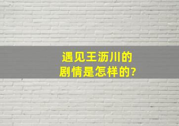 《遇见王沥川》的剧情是怎样的?