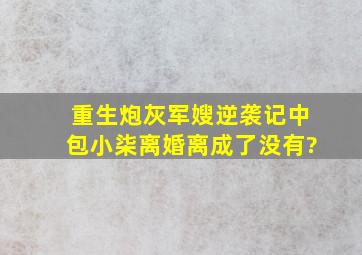 《重生炮灰军嫂逆袭记》中包小柒离婚离成了没有?