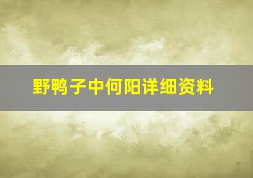 《野鸭子》中何阳详细资料