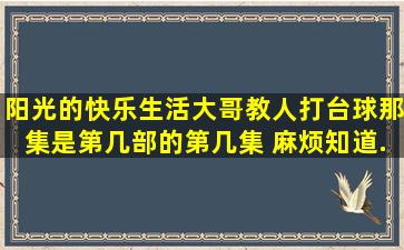 《阳光的快乐生活》大哥教人打台球那集是第几部的第几集 麻烦知道...