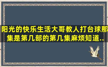 《阳光的快乐生活》大哥教人打台球那集是第几部的第几集,麻烦知道...