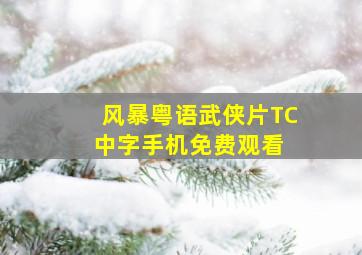 《风暴粤语》武侠片  TC中字手机免费观看 