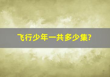 《飞行少年》一共多少集?