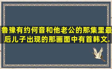 《鲁豫有约》何音和他老公的那集里最后儿子出现的那画面中有首韩文...