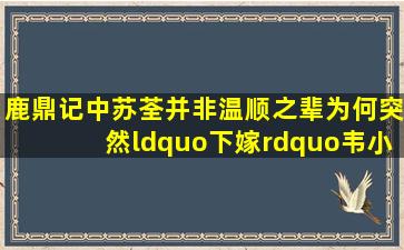 《鹿鼎记》中苏荃并非温顺之辈,为何突然“下嫁”韦小宝