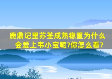 《鹿鼎记》里苏荃成熟稳重,为什么会爱上韦小宝呢?你怎么看?