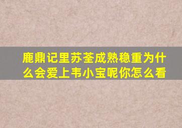 《鹿鼎记》里苏荃成熟稳重为什么会爱上韦小宝呢(你怎么看(