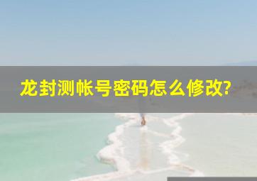 《龙》封测帐号密码怎么修改?