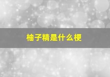 「柚子精」是什么梗