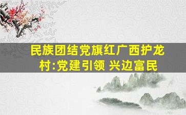 「民族团结党旗红」广西护龙村:党建引领 兴边富民