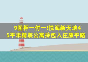 【9图】押一付一!悦海新天地45平米精装公寓,拎包入住,康平路