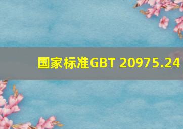 【国家标准】GB∕T 20975.24