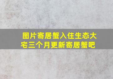 【图片】寄居蟹入住生态大宅(三个月更新)寄居蟹吧 