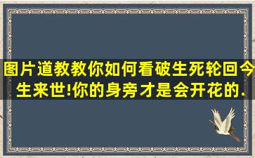 【图片】道教教你如何看破生死轮回、今生来世!【你的身旁才是会开花的...