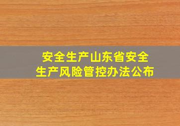 【安全生产】《山东省安全生产风险管控办法》公布