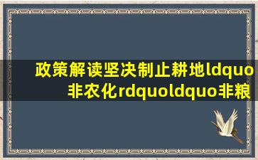 【政策解读】坚决制止耕地“非农化”“非粮化”!