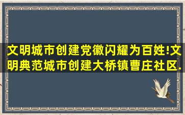 【文明城市创建】党徽闪耀为百姓!文明典范城市创建大桥镇曹庄社区...