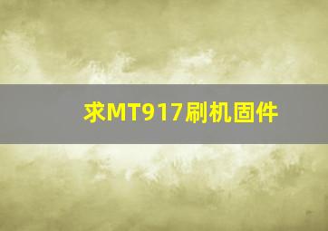 【求】MT917刷机【固件】