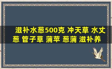 【滋补】水葱500克 冲天草 水丈葱 管子草 蒲苹 葱蒲 滋补养生水葱 水 ...