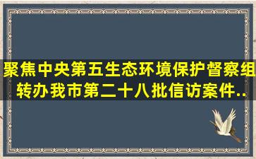 【聚焦】中央第五生态环境保护督察组转办我市第二十八批信访案件...