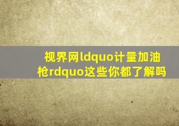 【视界网】“计量加油枪”这些你都了解吗