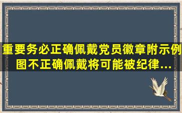 【重要】务必正确佩戴党员徽章(附示例图),不正确佩戴将可能被纪律...