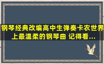 【钢琴经典改编】高中生弹奏《卡农》世界上最温柔的钢琴曲 记得看...