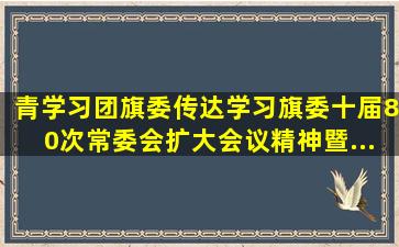 【青学习】团旗委传达学习旗委十届80次常委会(扩大)会议精神暨...