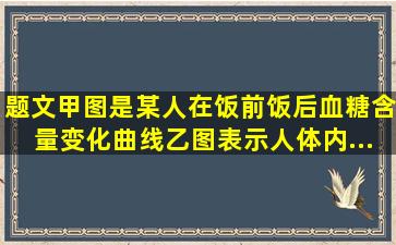 【题文】甲图是某人在饭前、饭后血糖含量变化曲线,乙图表示人体内...