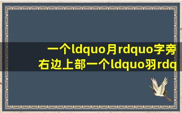 一个“月”字旁,右边上部一个“羽”,下面一个“珍”的右半部分,这个...