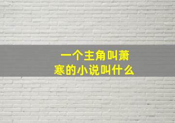 一个主角叫萧寒的小说叫什么((