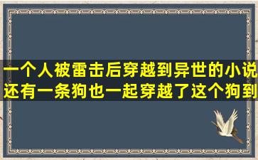 一个人被雷击后穿越到异世的小说还有一条狗也一起穿越了这个狗到...