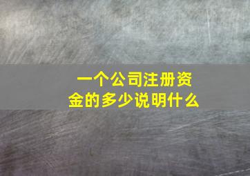 一个公司注册资金的多少说明什么