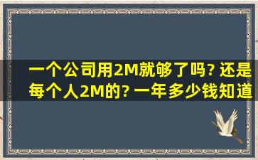 一个公司用2M就够了吗? 还是每个人2M的? 一年多少钱知道吗? 谢谢