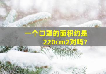 一个口罩的面积约是220cm2对吗?