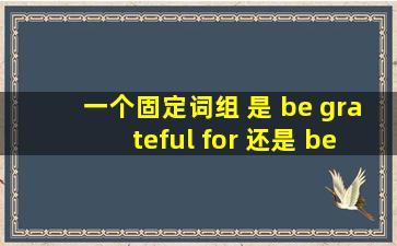 一个固定词组 是 be grateful for 还是 be grateful to 呢? 要是都有分别...