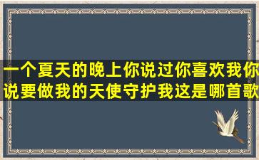 一个夏天的晚上你说过你喜欢我,你说要做我的天使守护我,这是哪首歌?