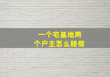 一个宅基地两个户主怎么赔偿