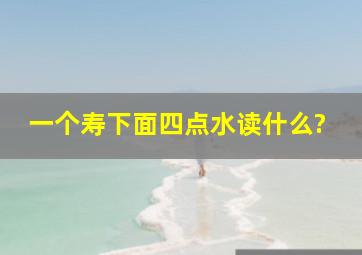 一个寿下面四点水读什么?