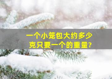 一个小笼包大约多少克,只要一个的重量?