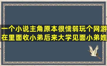 一个小说主角原本很懦弱玩个网游在里面收小弟后来大学见面。小弟姓...