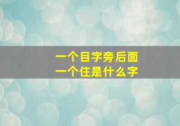 一个目字旁后面一个住是什么字