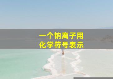 一个钠离子用化学符号表示