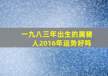 一九八三年出生的属猪人2016年运势好吗