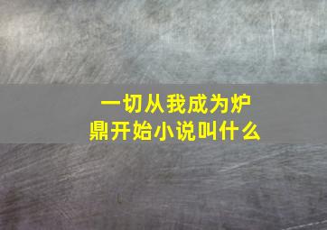 一切从我成为炉鼎开始小说叫什么