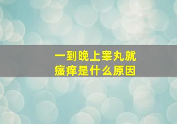 一到晚上睾丸就瘙痒是什么原因