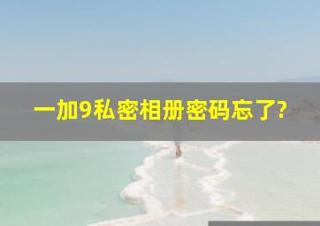 一加9私密相册密码忘了?