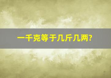 一千克等于几斤几两?